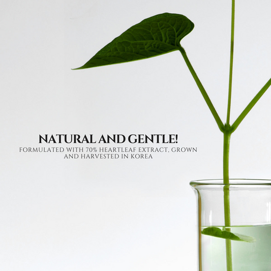 ANUA - Heartleaf 70% Daily Lotion - 200ml