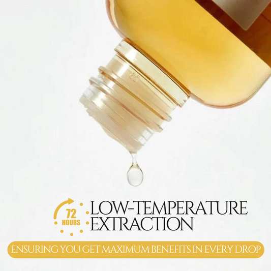 Reishi Mushroom Essence - 100ml