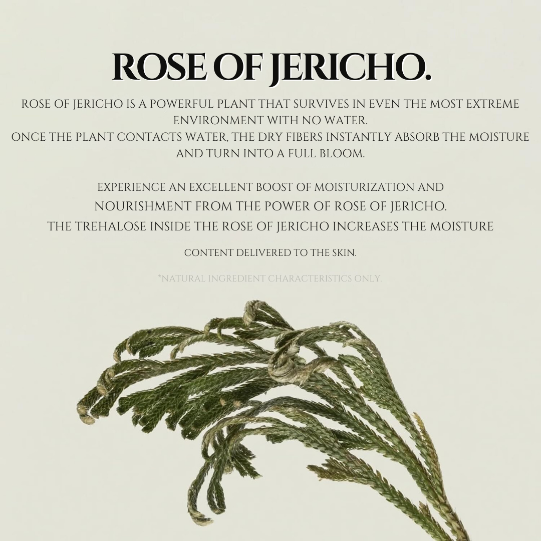 ABIB - Collagen Gel Mask Jericho Rose Jelly (1pc)