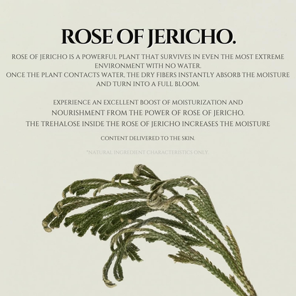ABIB - Collagen Gel Mask Jericho Rose Jelly (1pc)