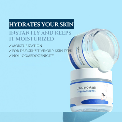 Birch Juice Moisturizing Cream - 80ml